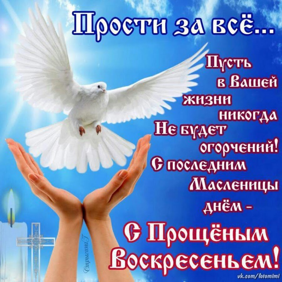 Прости меня моя любимая