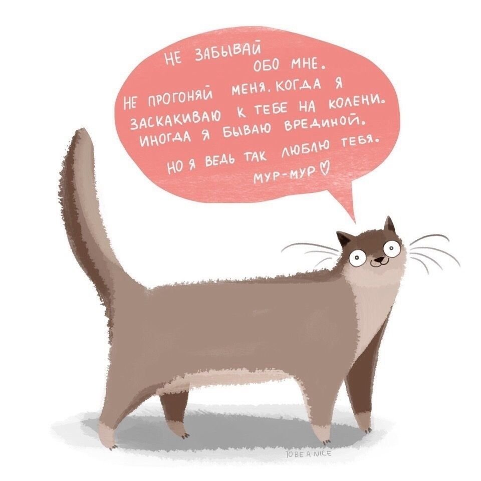 Мур Мур картинки