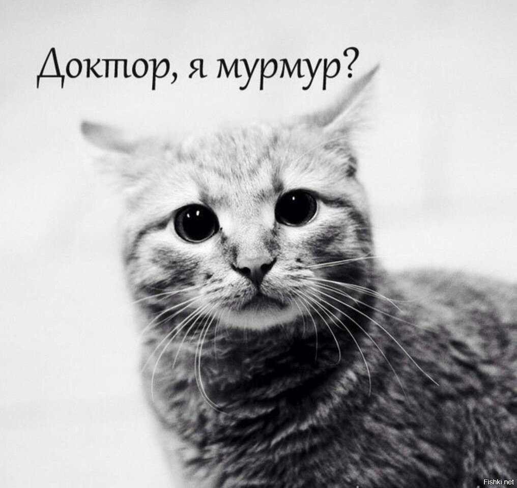 Доктор я Мур Мур Мем