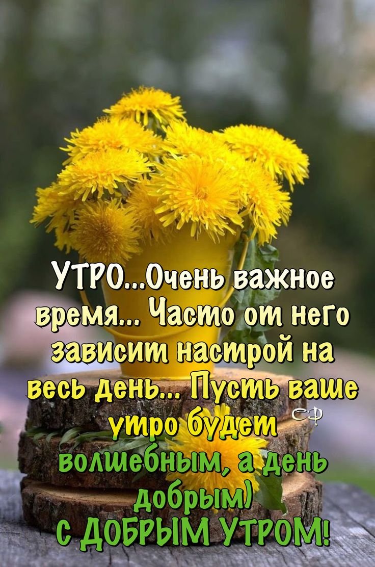 Интересные фразы с добрым утром