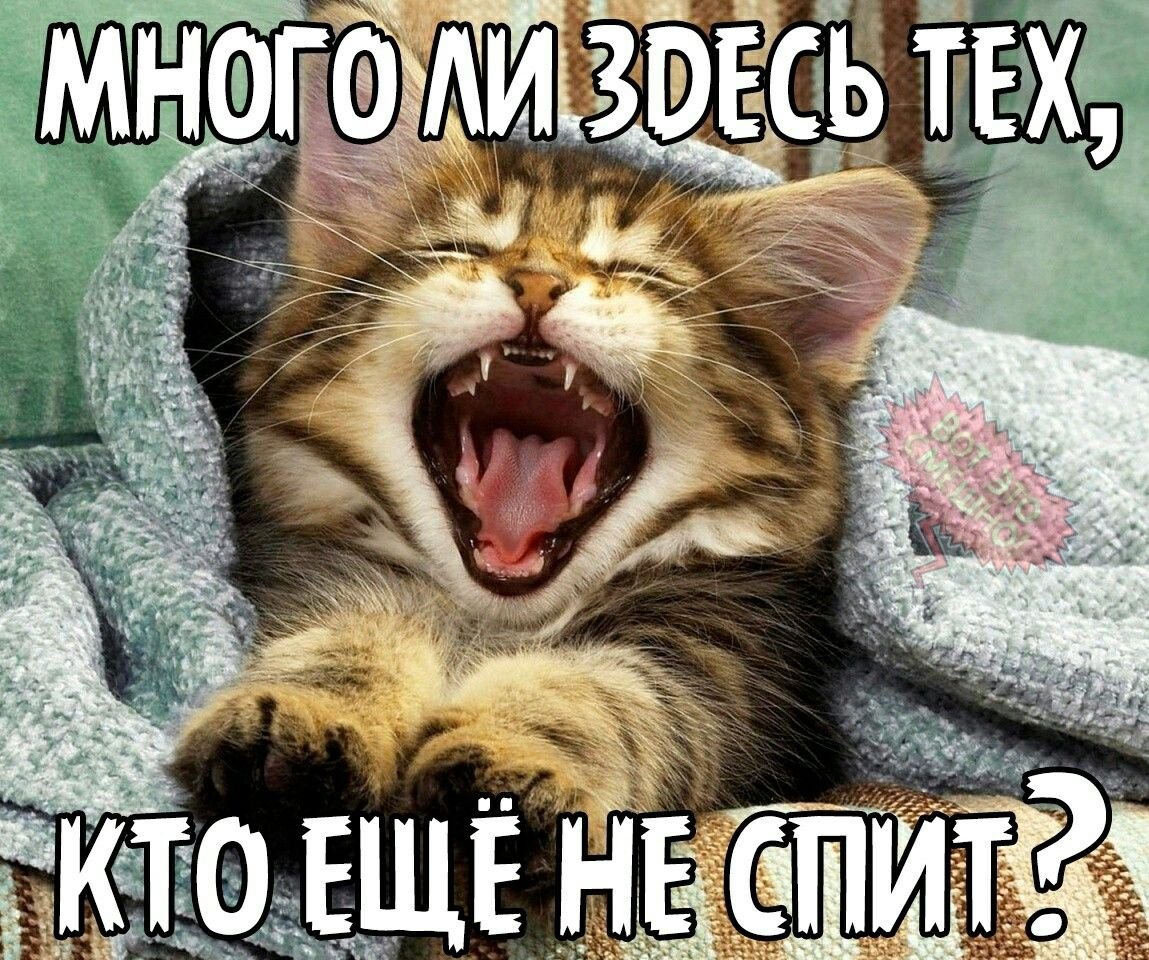 Спать всем спать