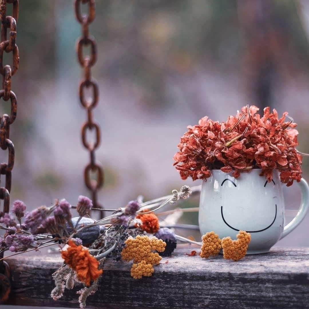 Стихи с добрым утром