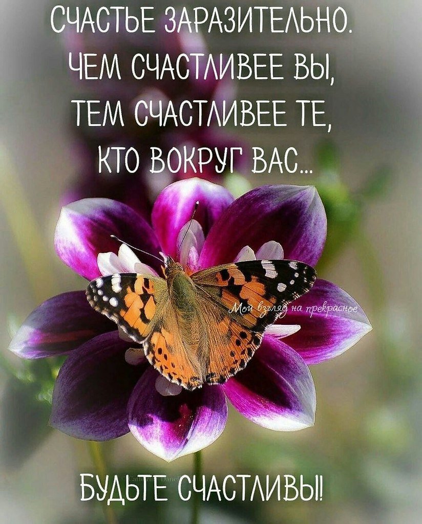 Доброе утро цитаты