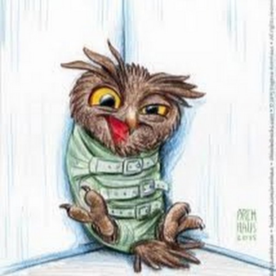 Сова карикатура