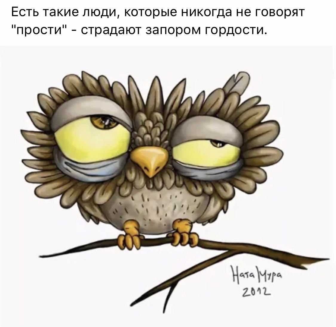 Сова в очках