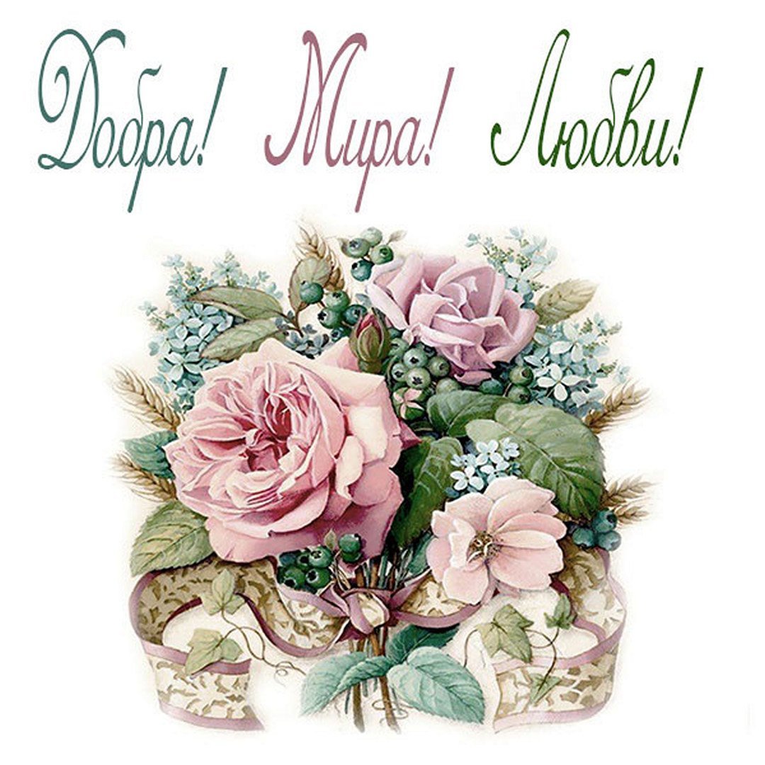 Пожелания выздоровления