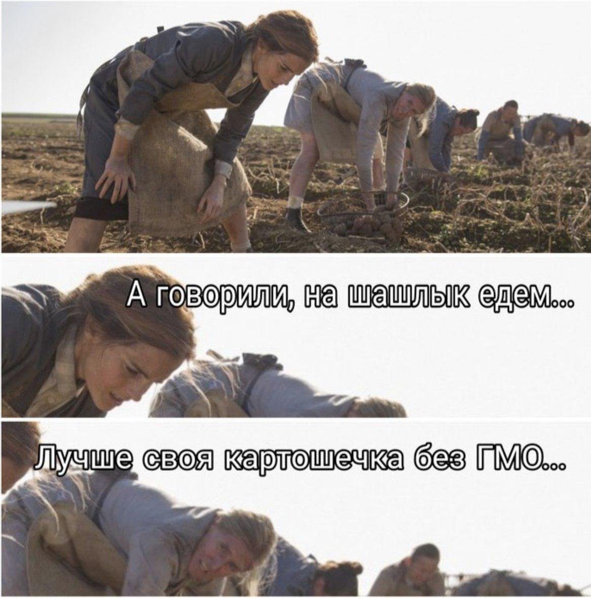 Юмор про дачников