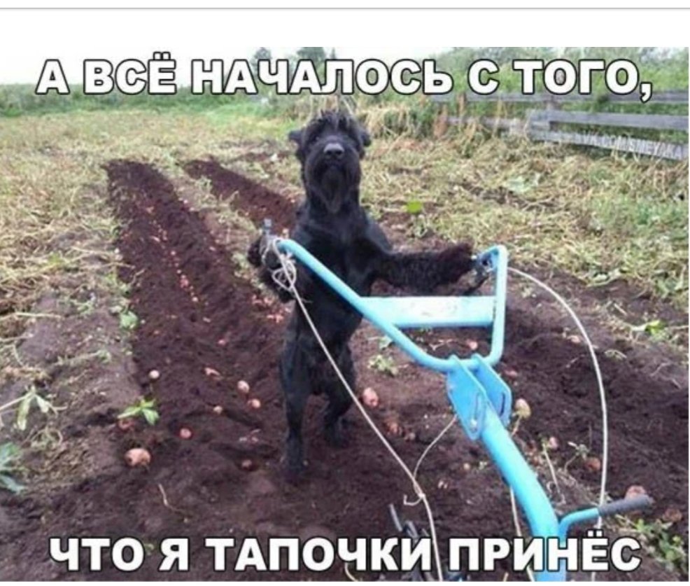 Смешные дачники