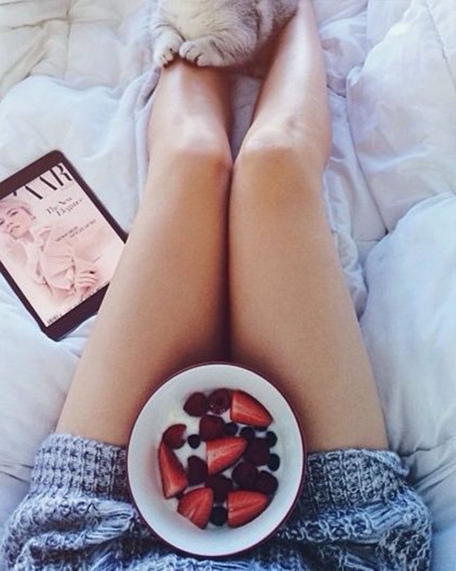 Дом для кошки