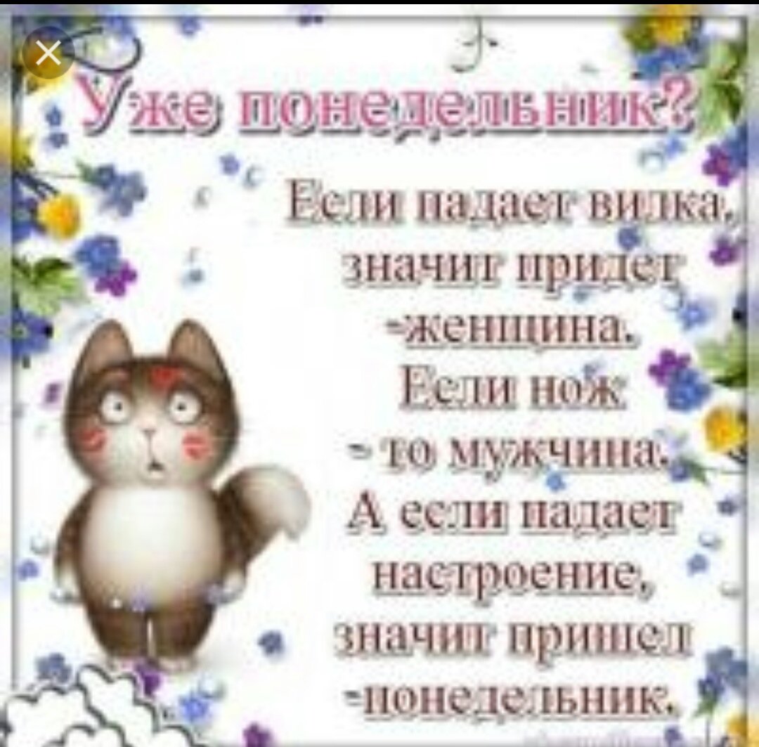 Утро понедельника