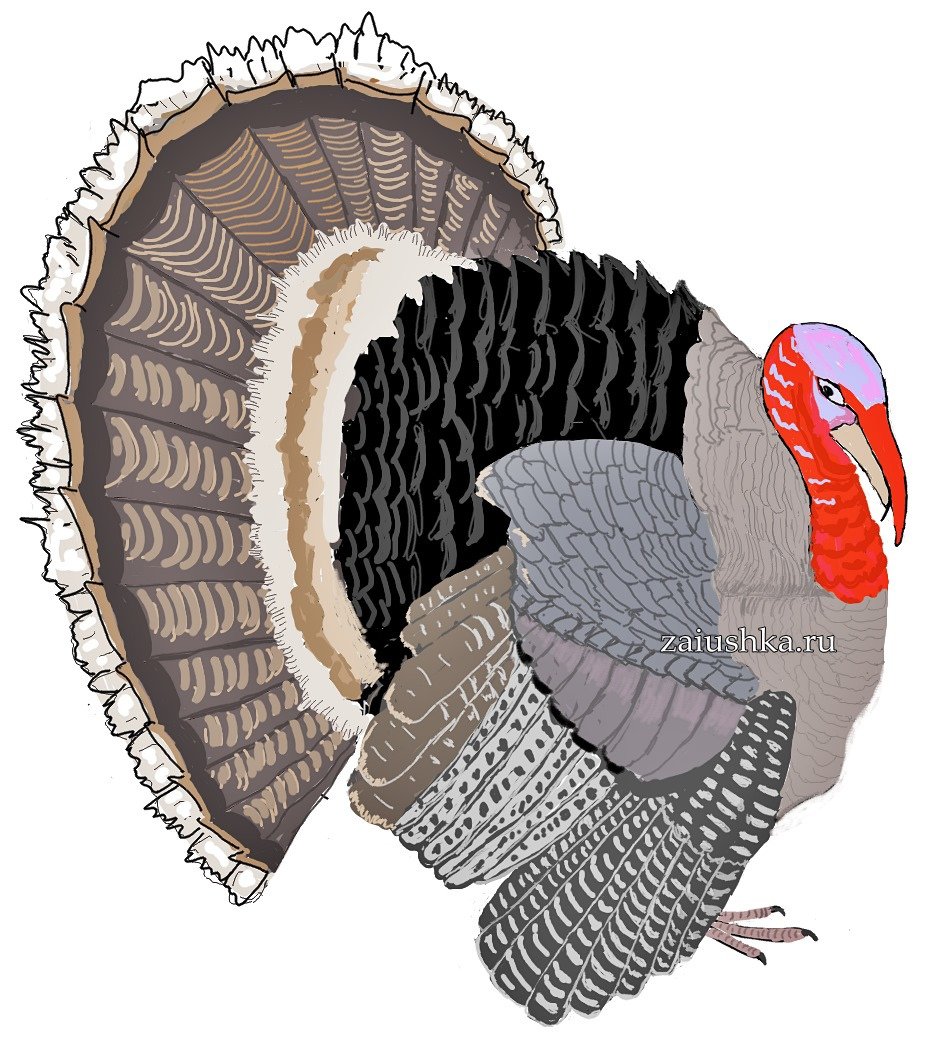 Индюк стилизация