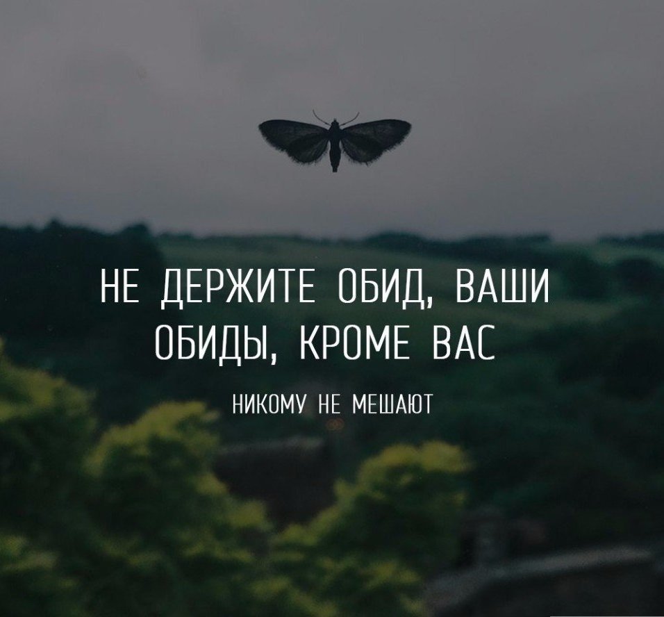 Цитаты про обиду