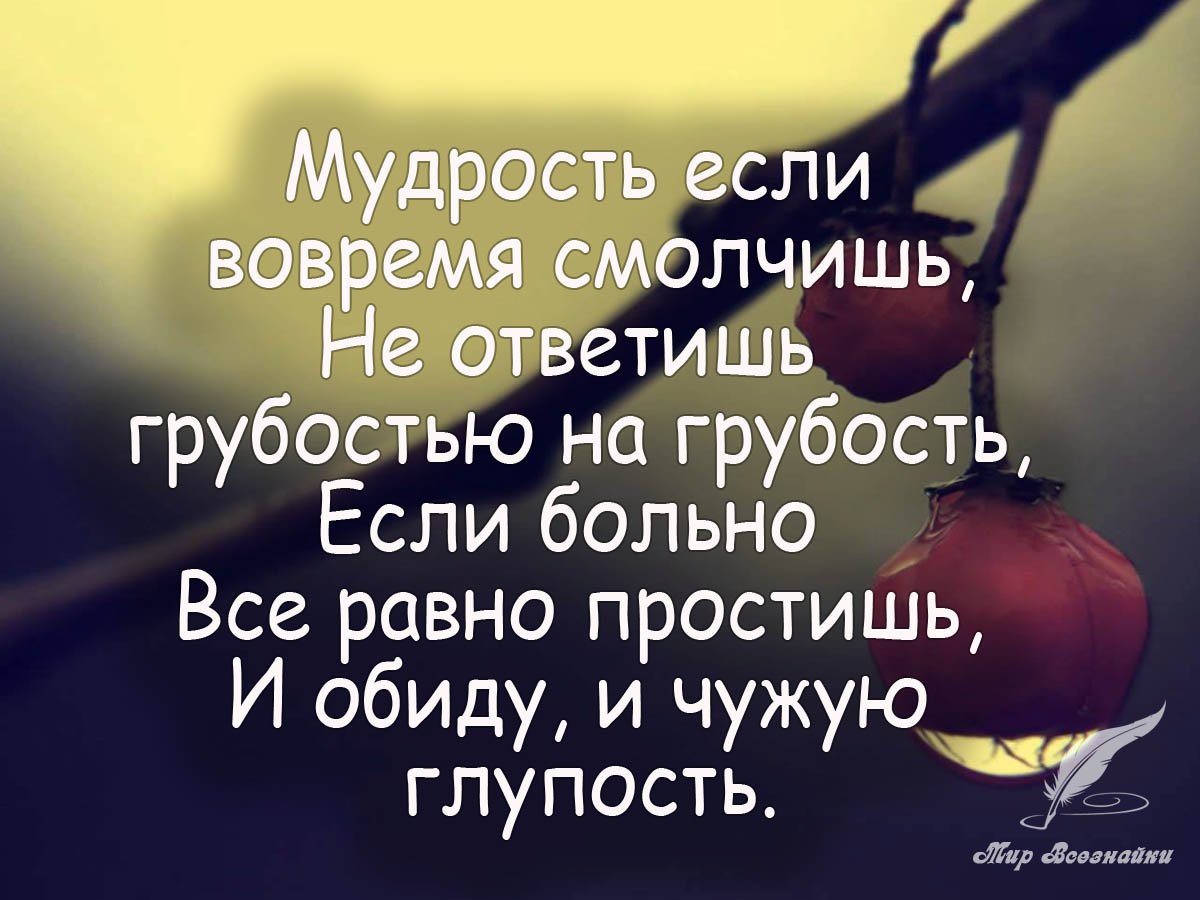 Афоризмы про мудрость