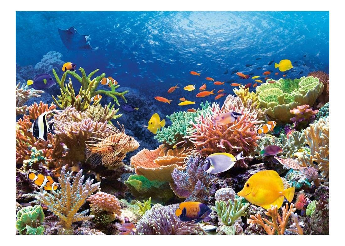 Большой Барьерный риф