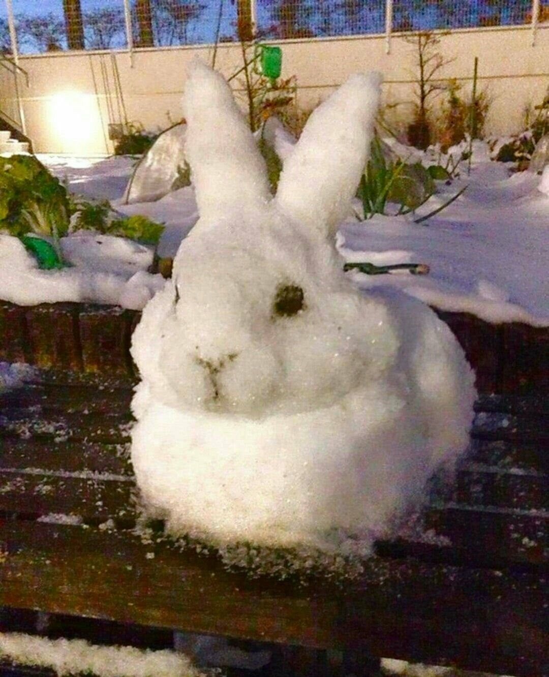 Животные акварелью