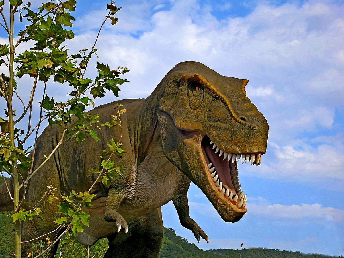 Тираннозавр рекс