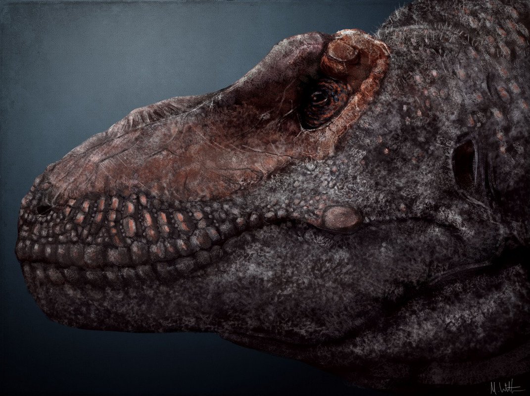 Тираннозавр фильм 2007