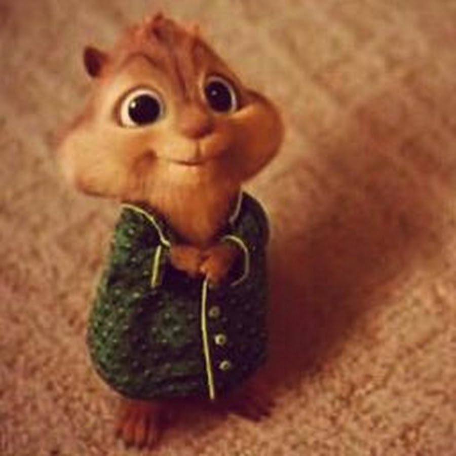 Зайчик из мультика Тайная жизнь домашних животных 2