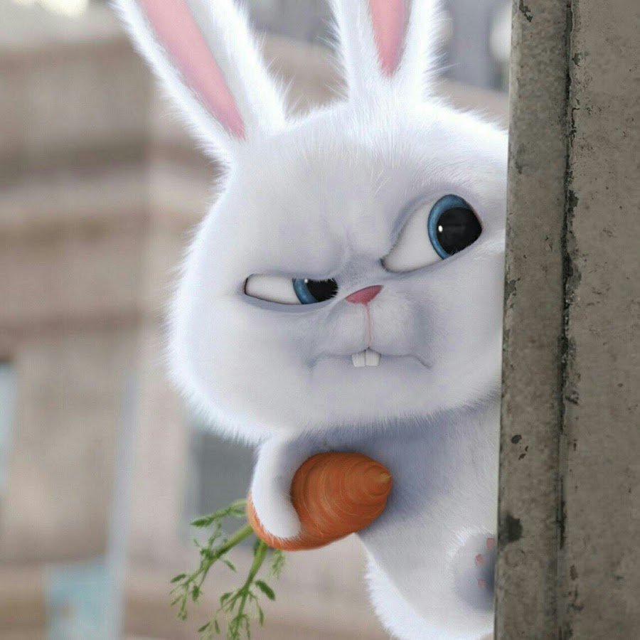 Зая хочет праздника