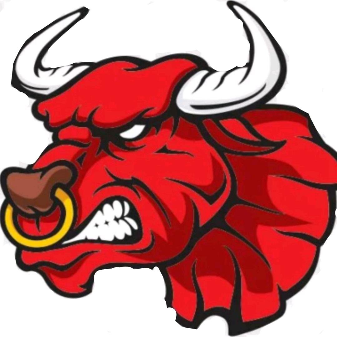 Уходящий год буйвола