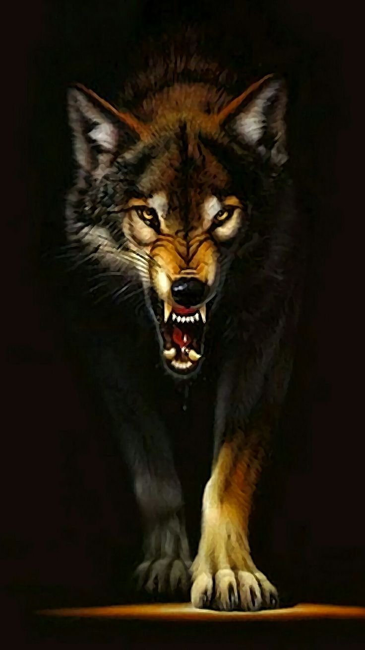 Черный Вольф Вольф человек волк