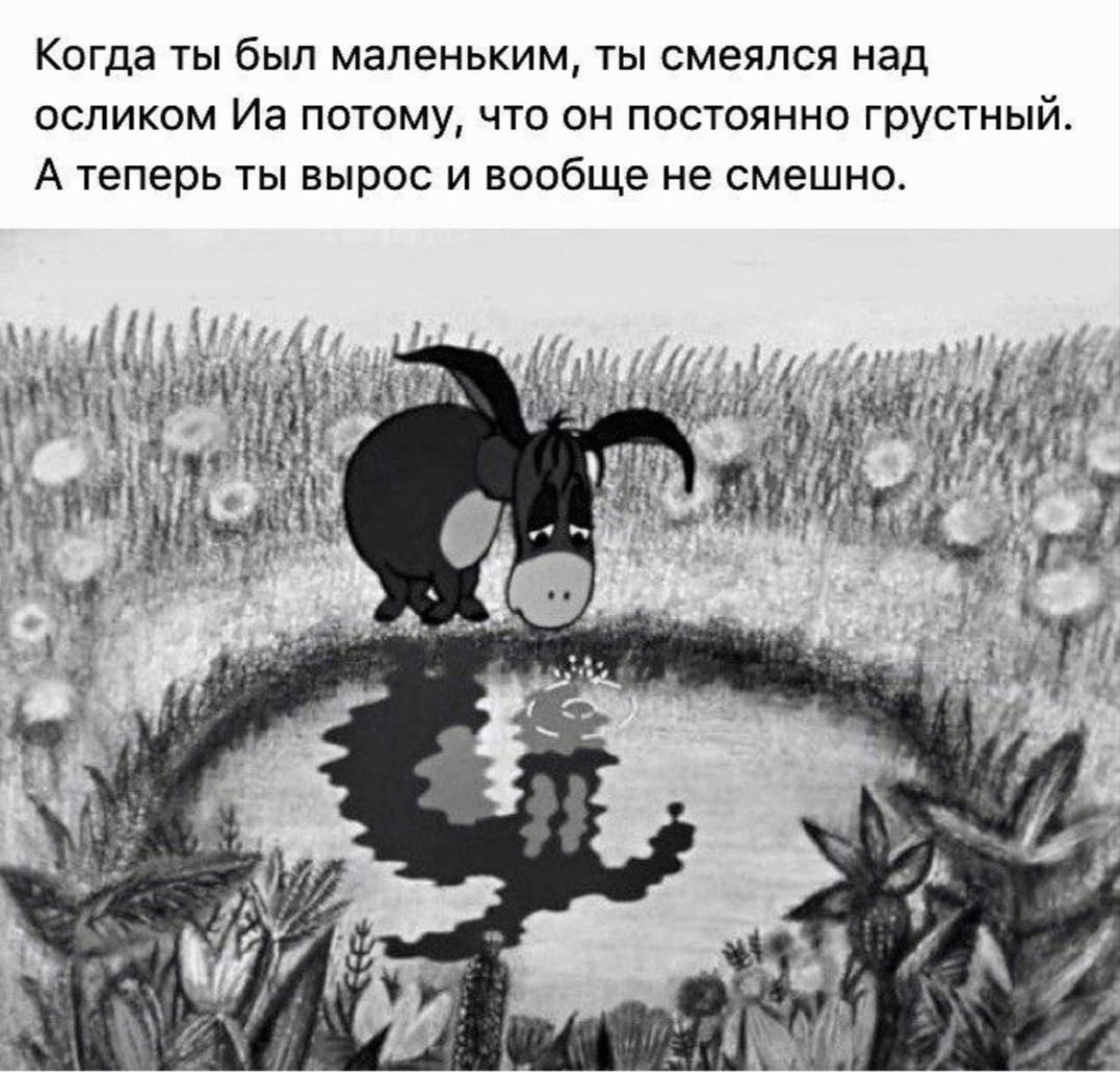 Ослик ИА прикол