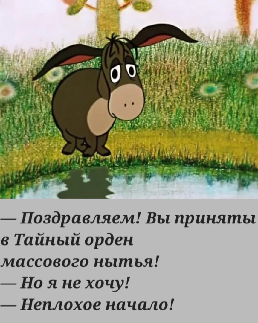 Ослик ИА демотиватор