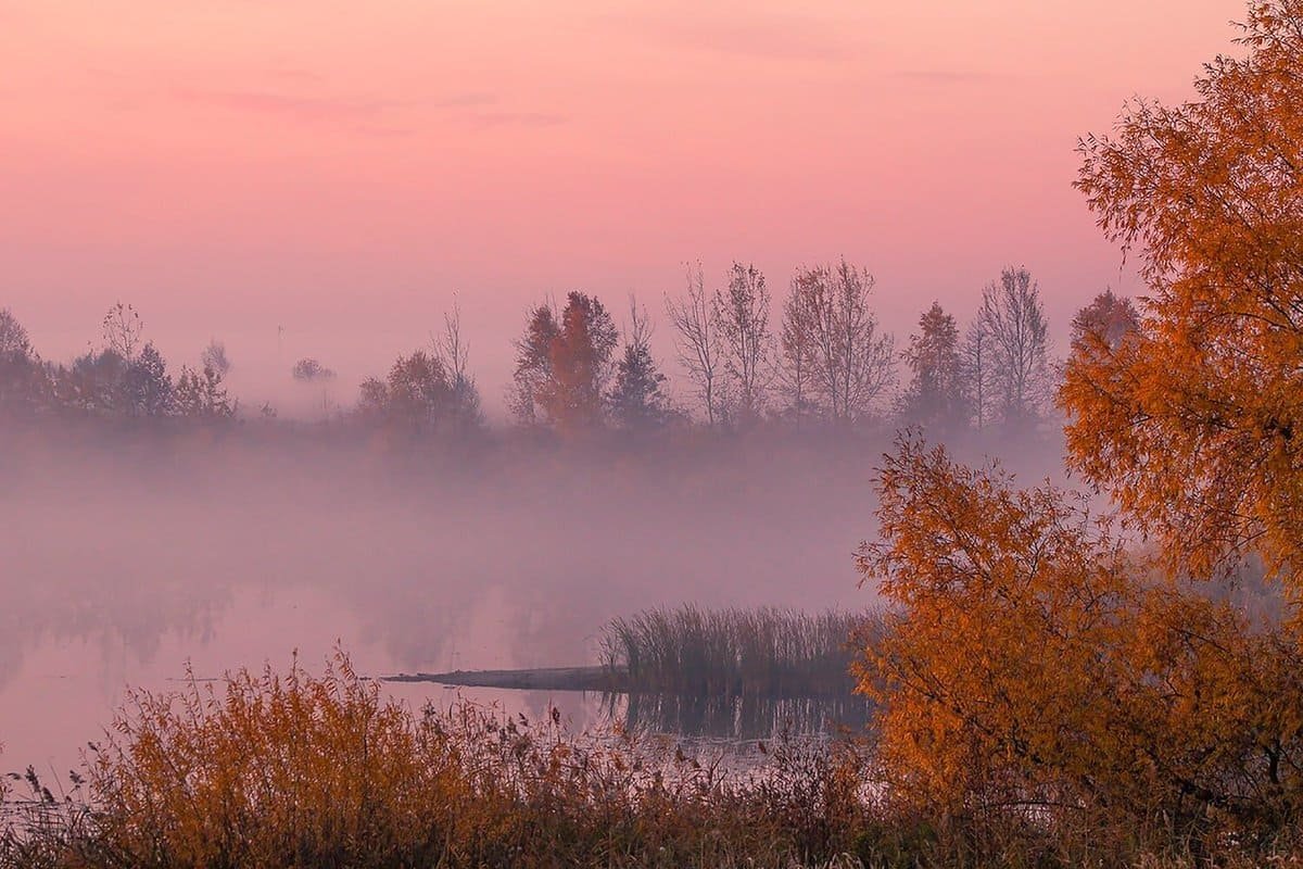 Туманное утро