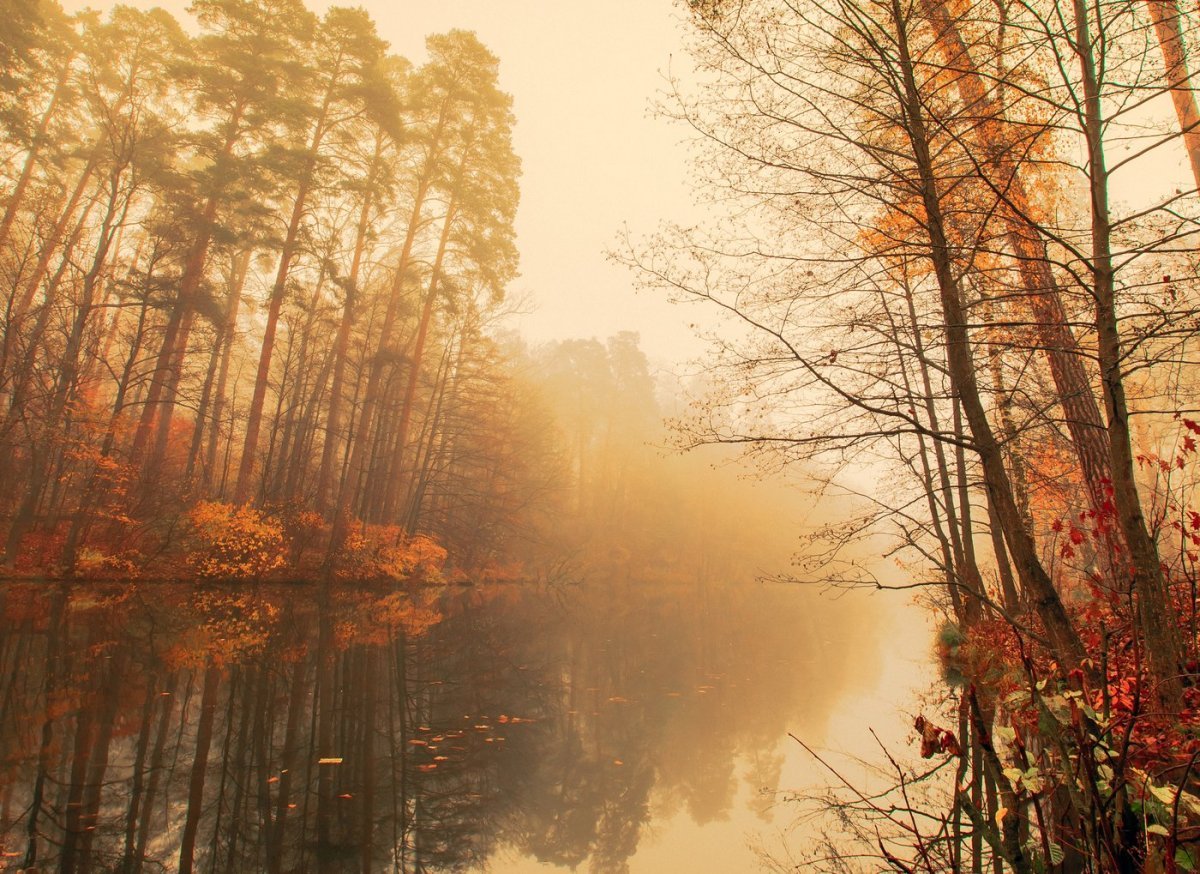 Осенний рассвет