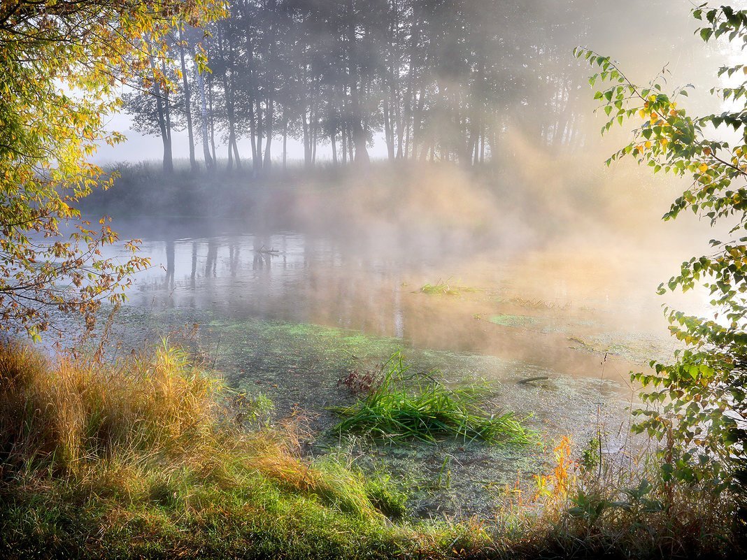 Туманное осеннее утро