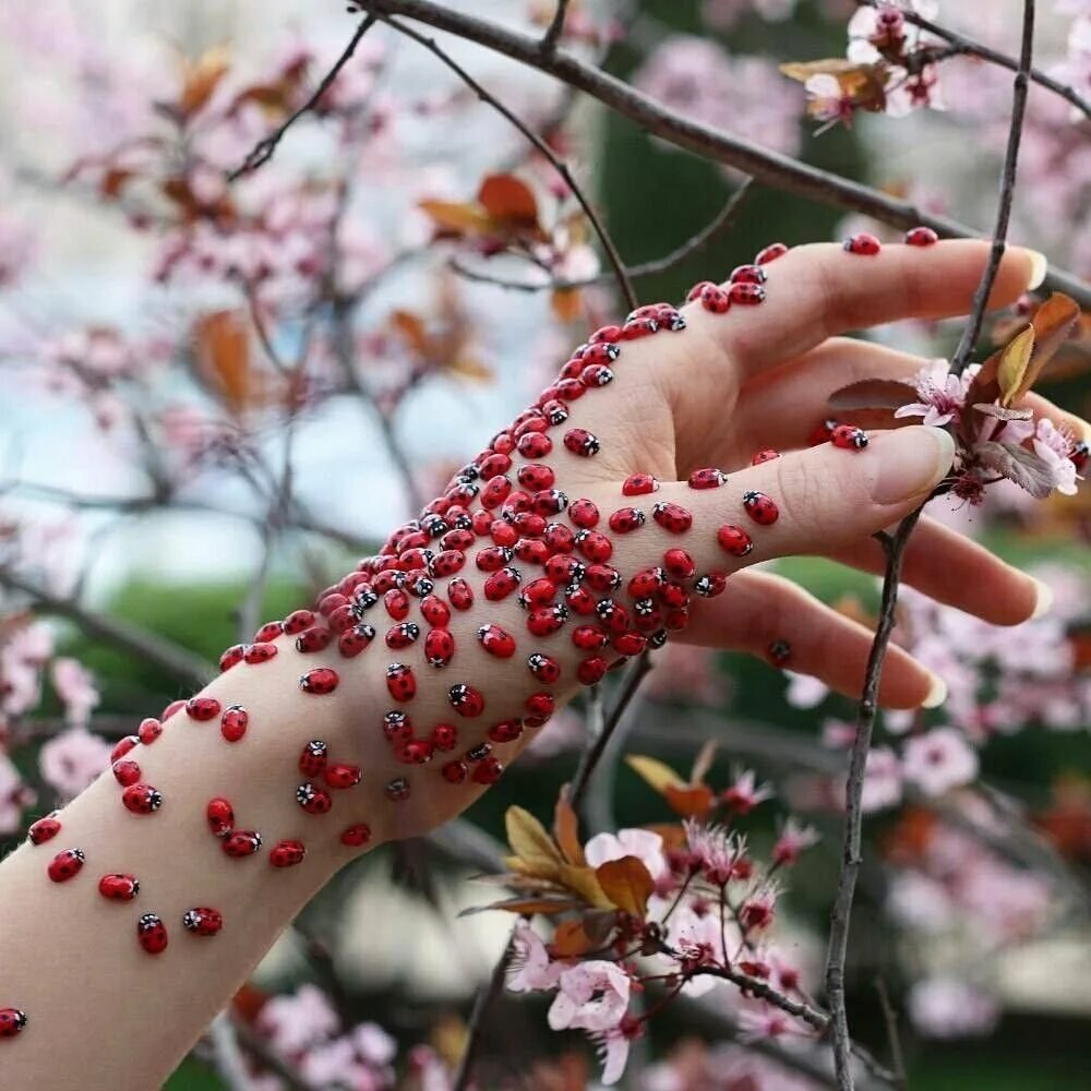 Эстетика красивая