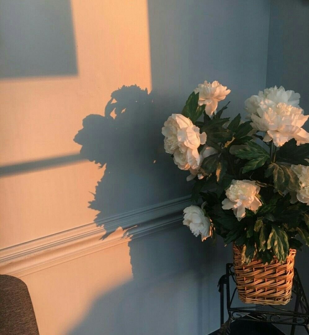 Эстетика тумблер