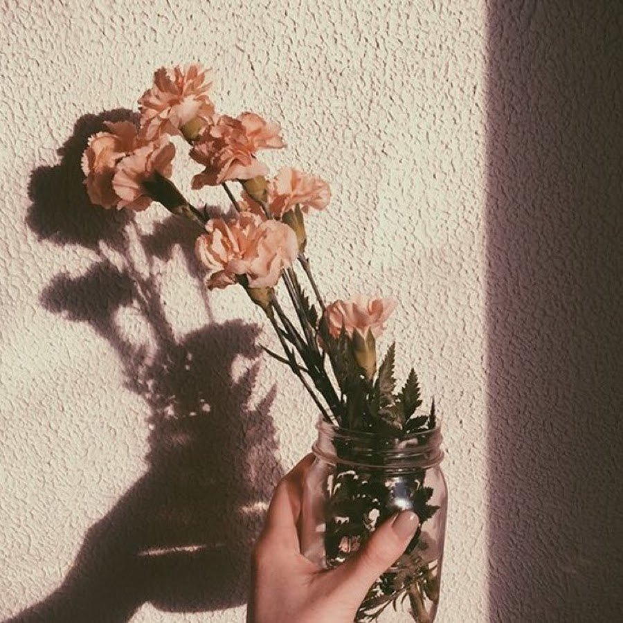 Эстетика из пинтереста