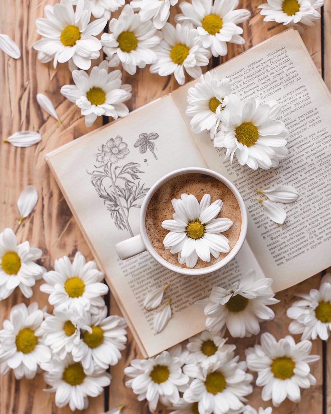 Доброе Воскресное у РО