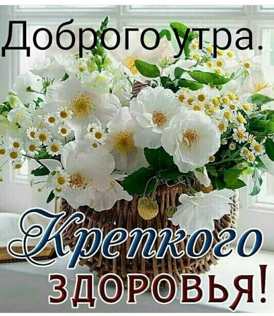 Хорошего воскресного дня картинки прикольные