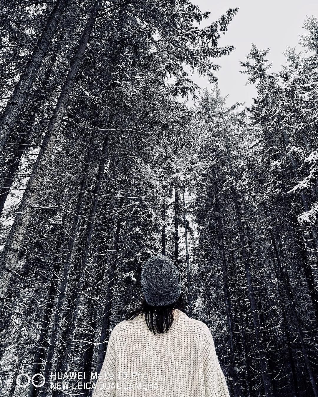 Эстетика зимы на аву