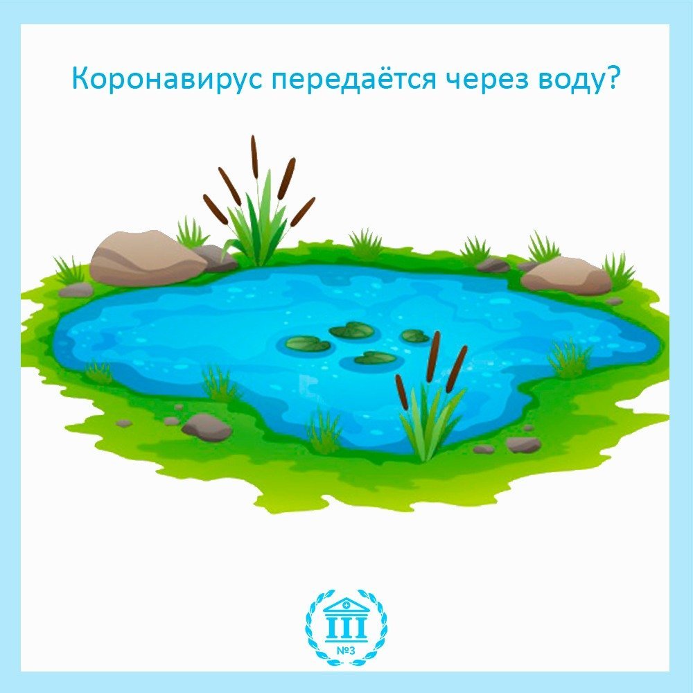 Прудик вектор