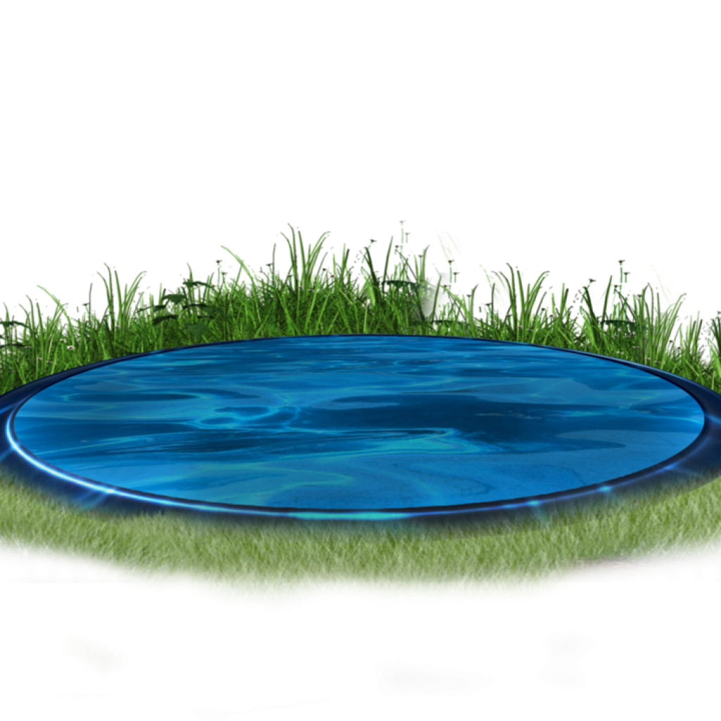 Болото для детей