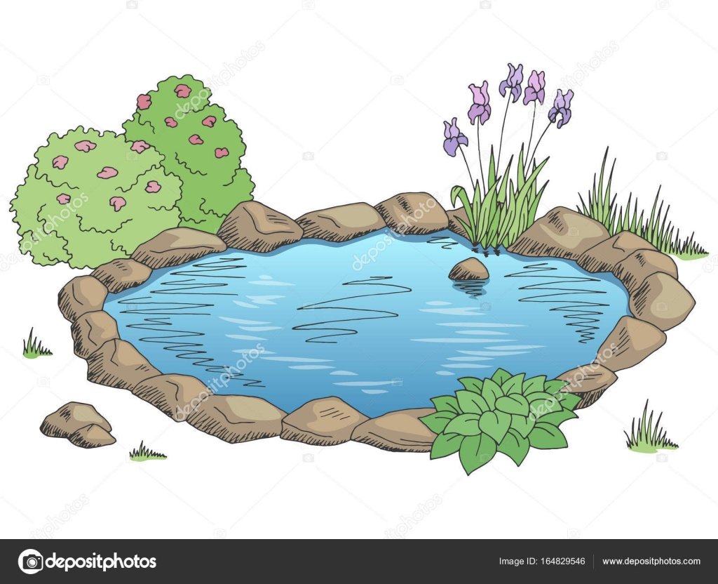 Рыбка в озере для детей