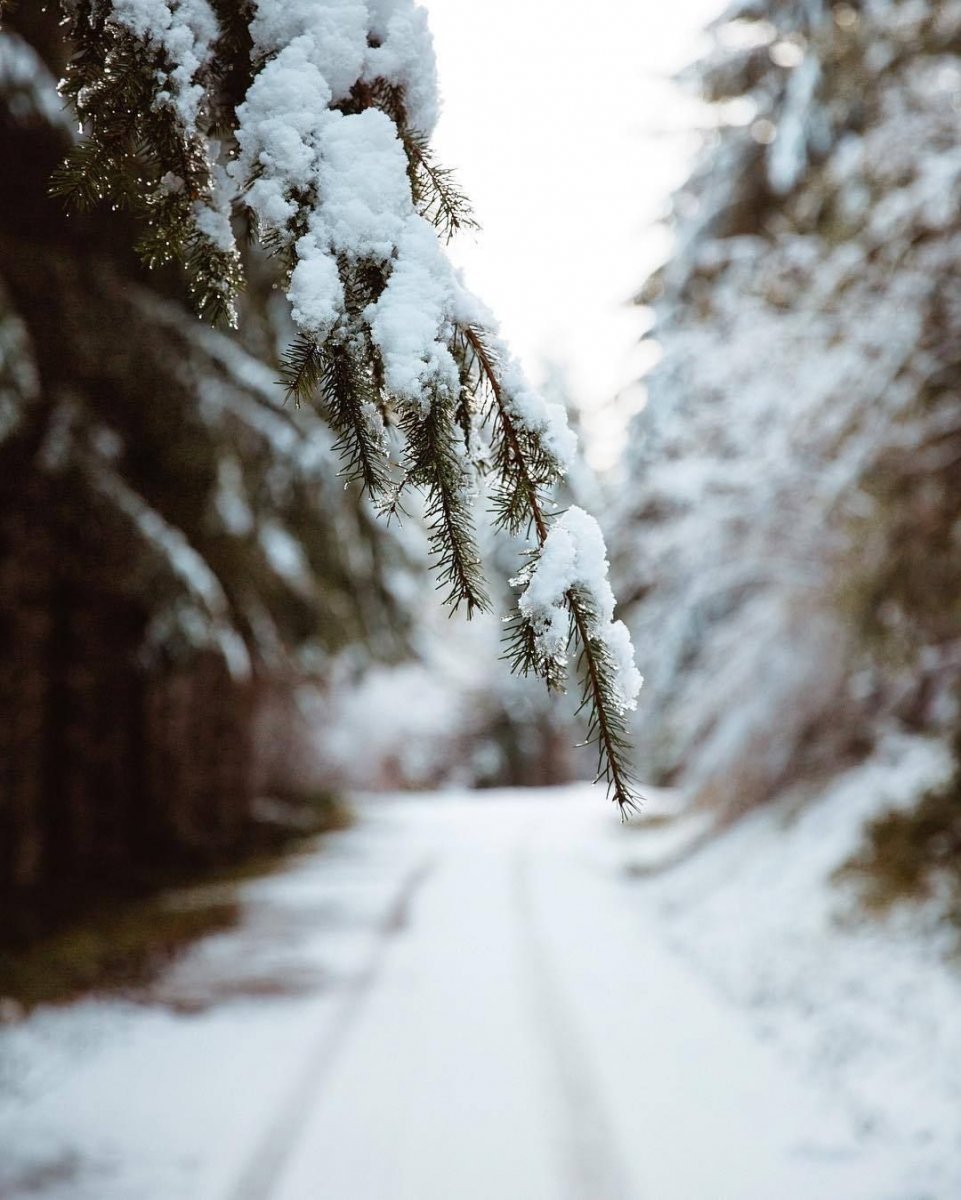 Фотосессия зимой