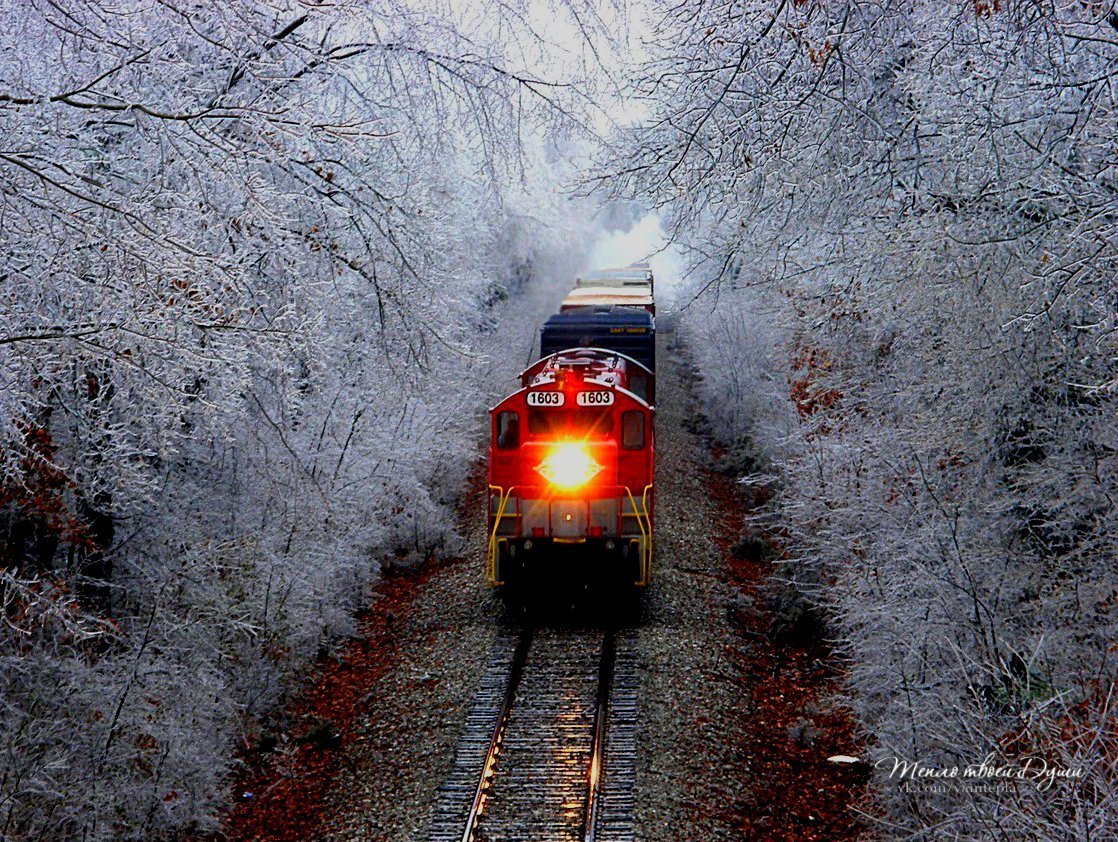 Заснеженный трамвай