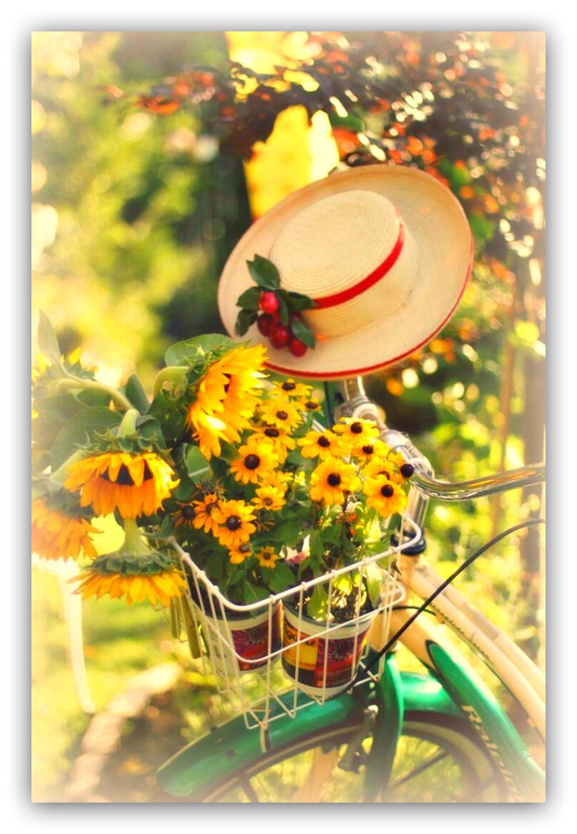 До свидания март