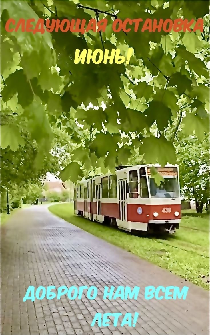 Поезд в цветах