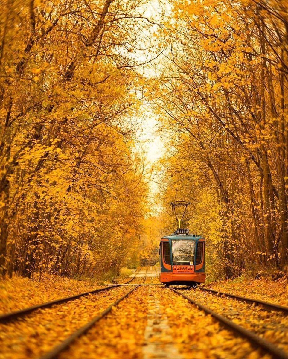 Настроение лето