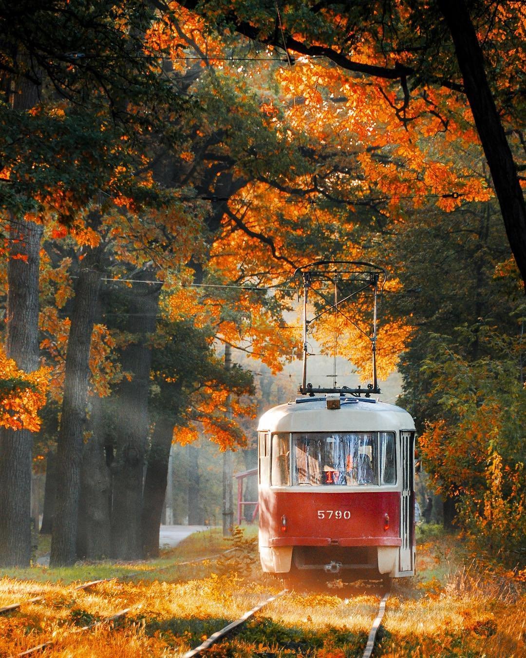 Осенний Калининград трамвай