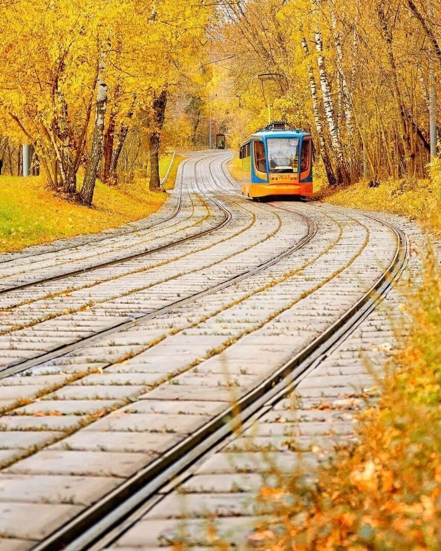 Железная дорога осень