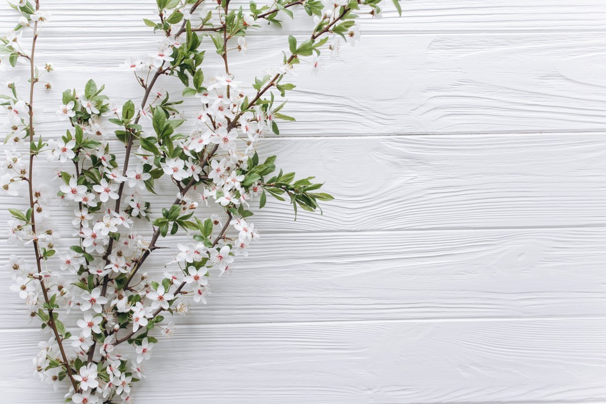 Нежная Весна