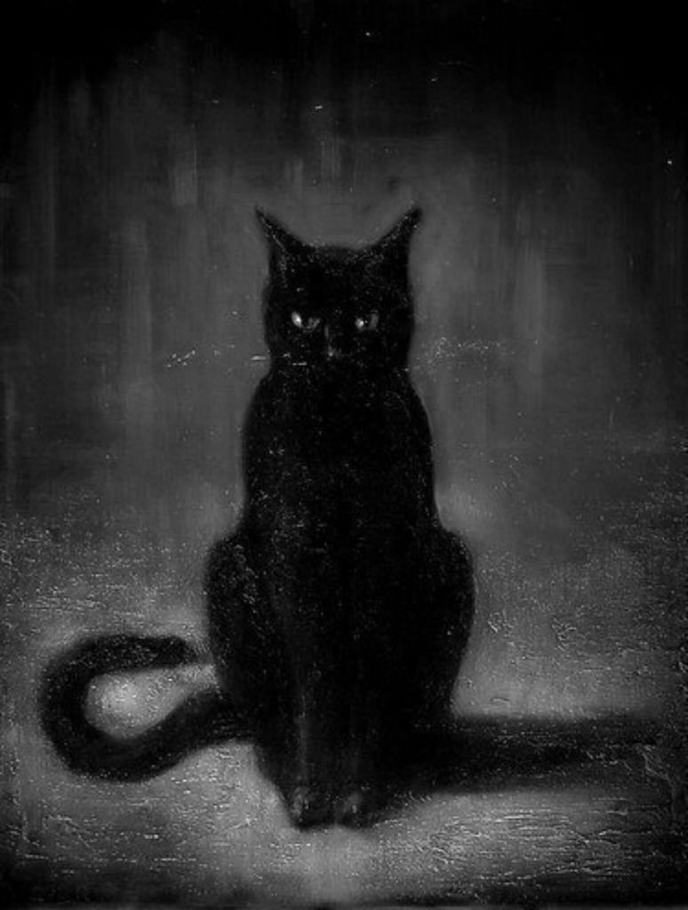 Чёрный кот арт