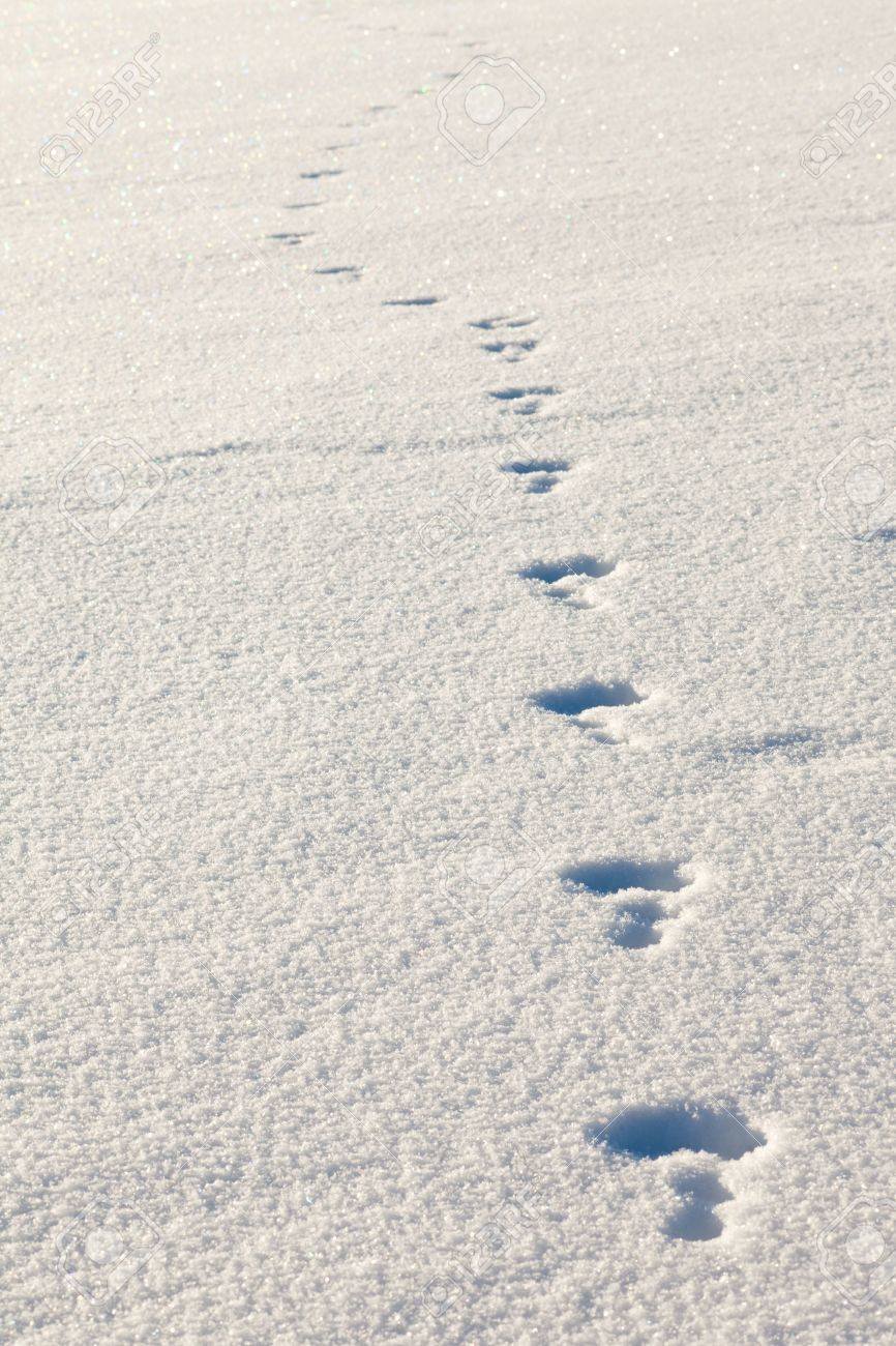 Следы человека на снегу