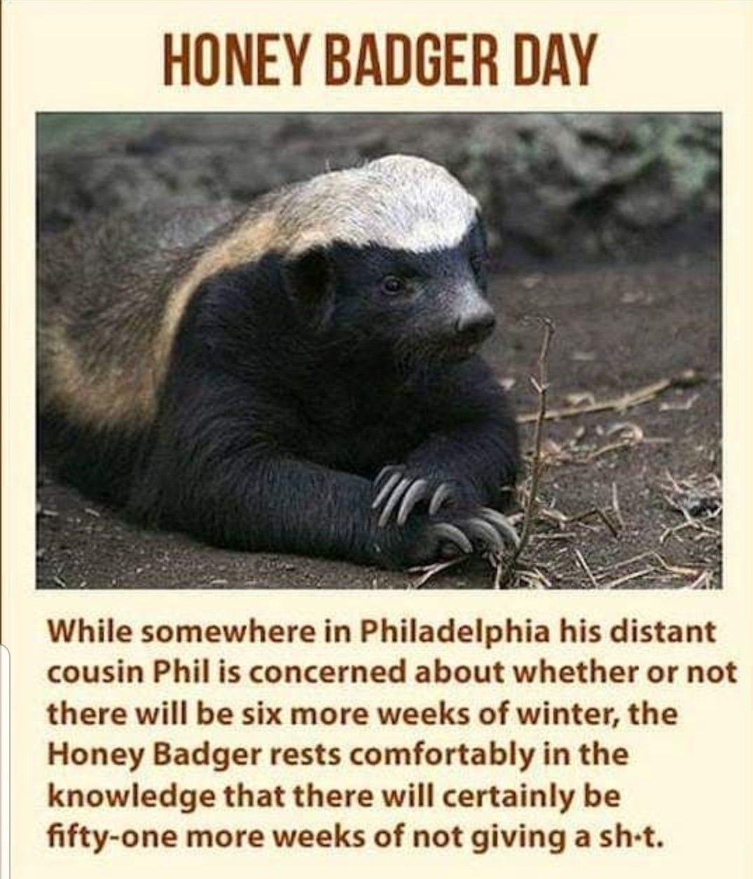 Медоед лого